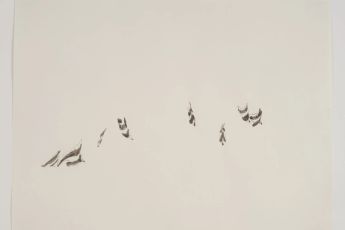 Zheng Bo contemporary artist