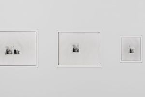 Zoe Leonard