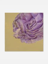Purple in the Morning by Kalliopi Lemos contemporary artwork painting