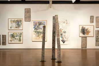 Contemporary art exhibition John Wolseley with Mulkun Wirrpanda Marrma dilakmala lurruma gurra athawu - Two Old Artists Looking for Food at Roslyn Oxley9 Gallery Sydney Australia