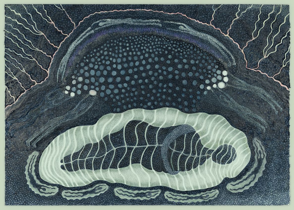 ANN LEDA SHAPIRO