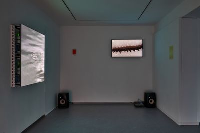 Taeyoon Kim Expands Time and Space