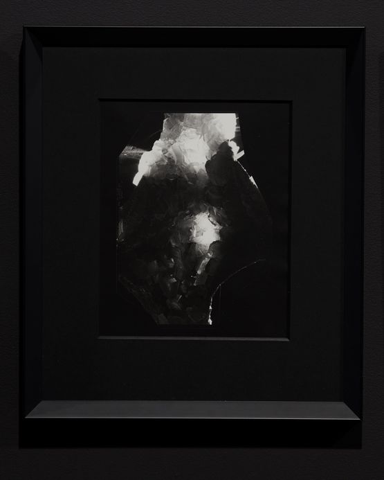 Cellar Process Study by Joyce Campbell contemporary artwork Photography