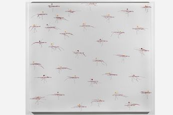 Contemporary art exhibition Group Show Slow Learner at Timothy Taylor London United Kingdom