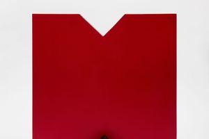 Lygia Pape