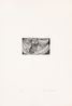 Quarantania Pl.I by Louise Bourgeois contemporary artwork Print