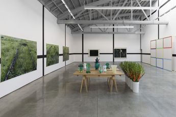 Contemporary art exhibition Andrea Buttner Grids Vases and Plant Beds at David Kordansky Gallery Los Angeles United States