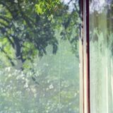 Fenster mit grunem Muckennetz by Peter Nadas contemporary artwork print