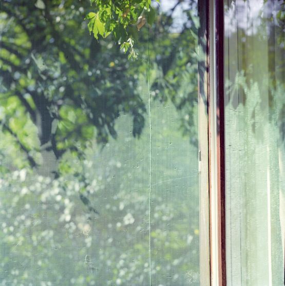 Fenster mit grunem Muckennetz by Peter Nadas contemporary artwork Print