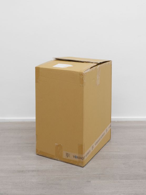 Born as a Box German by Shimabuku contemporary artwork Installation