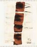 Soy Sauce Drawings 11 by Yang Jiechang contemporary artwork Works on Paper