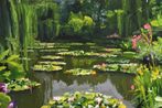 Jan De Vliegher contemporary artist
