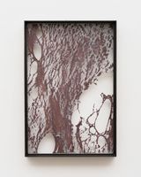 Untitled 9 framed flat skin pieces from Open Wound by Mire Lee contemporary artwork sculpture