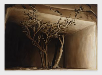 Emma Websters Cyborg Landscapes at Perrotin
