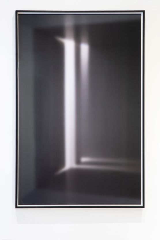 o.T. 335a by Eva Schlegel contemporary artwork Photography