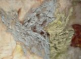 Untitled by Lydia Gifford contemporary artwork painting