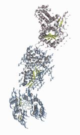 Resolution of Traits 1 by Ran Zhang contemporary artwork painting