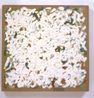 Untitled by Robert Ryman contemporary artwork Painting