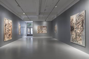 Contemporary art exhibition Peppi Bottrop Jungle Rapture at Pilar Corrias Eastcastle Street United Kingdom