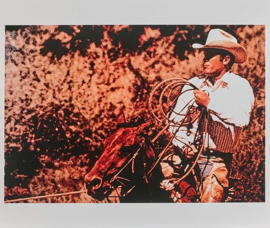 Untitled from Cowboys  Girlfriends by Richard Prince contemporary artwork Photography