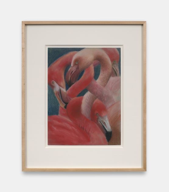 Flamingos on Blue by Holly Lowen contemporary artwork Works on Paper