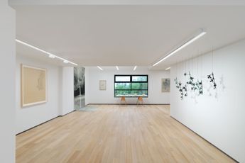 Contemporary art exhibition Ana Gonzalez VERDES at Sean Kelly Los Angeles United States