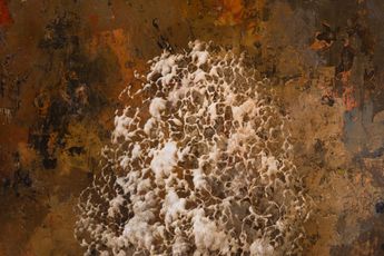 Enrico Minguzzi contemporary artist