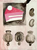 Specimen no.18 Possession Cake by Bianca Kennedy contemporary artwork drawing