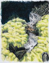 Saltwater X by Bruno Gadenne contemporary artwork drawing works on paper