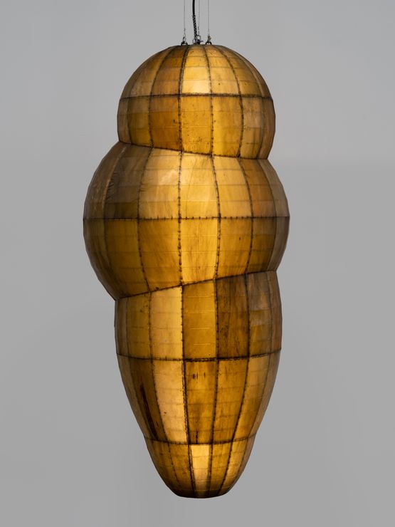 Archaic Cusp by Anicka Yi contemporary artwork Sculpture