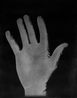 Hand of the Artists Father Hand of the Artist Hand of the Artists Son by Simon Starling contemporary artwork Photography