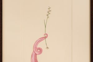 Caroline Rothwell