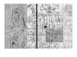 I have seen camels in Dhaka by Shuvo Rafiqul contemporary artwork mixed media painting photography print works on paper