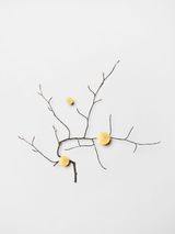 Branch with gold accents by Daniel Steegmann Mangrane contemporary artwork sculpture