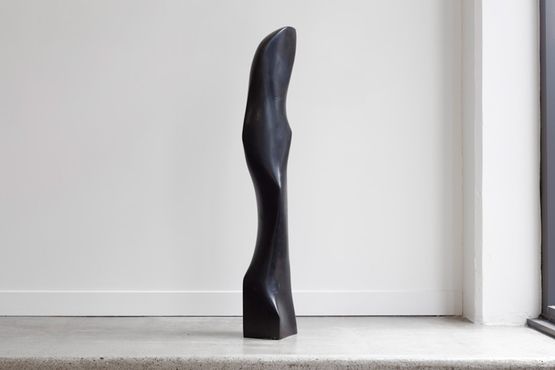 Raven by Tanya Ashken contemporary artwork Sculpture