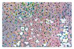 Lisa Corinne Davis contemporary artist