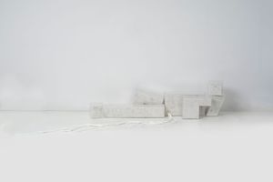 Haneyl Choi