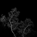 Stillness Echoes 05 by Rusty Fox contemporary artwork print
