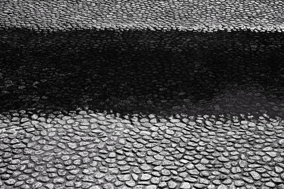 OUT OF NOISE by Ruriko Taguchi contemporary artwork Photography