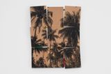 Coqueiral com enxertos de cor by Jonathas De Andrade contemporary artwork print