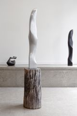 Silver Raven by Tanya Ashken contemporary artwork sculpture