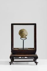 May-December Scallop by Trevor Yeung contemporary artwork sculpture