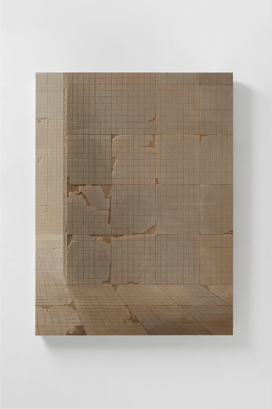 Space of space 20241230 by Cai Lei contemporary artwork Painting