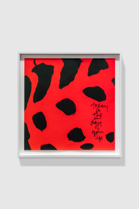 you are alive - shell writing 1 by Corita Kent contemporary artwork Print