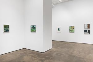 Ilse DHollander