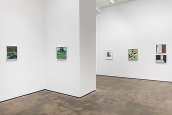 Contemporary art exhibition Ilse DHollander The Color of Shadows at Sean Kelly New York United States