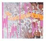 Plastic Remains 4 by Ng Joon Kiat contemporary artwork painting