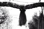 OUT OF NOISE by Ruriko Taguchi contemporary artwork Photography