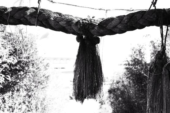 OUT OF NOISE by Ruriko Taguchi contemporary artwork Photography