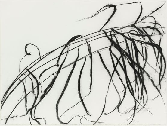 Oct. 8 2011 3 Blue-joint grass Calamagrostis canadensis by Susan Hartnett contemporary artwork Works on Paper